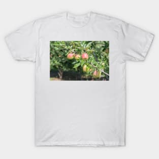 Okanagan Valley Apples and Summer Sunshine T-Shirt